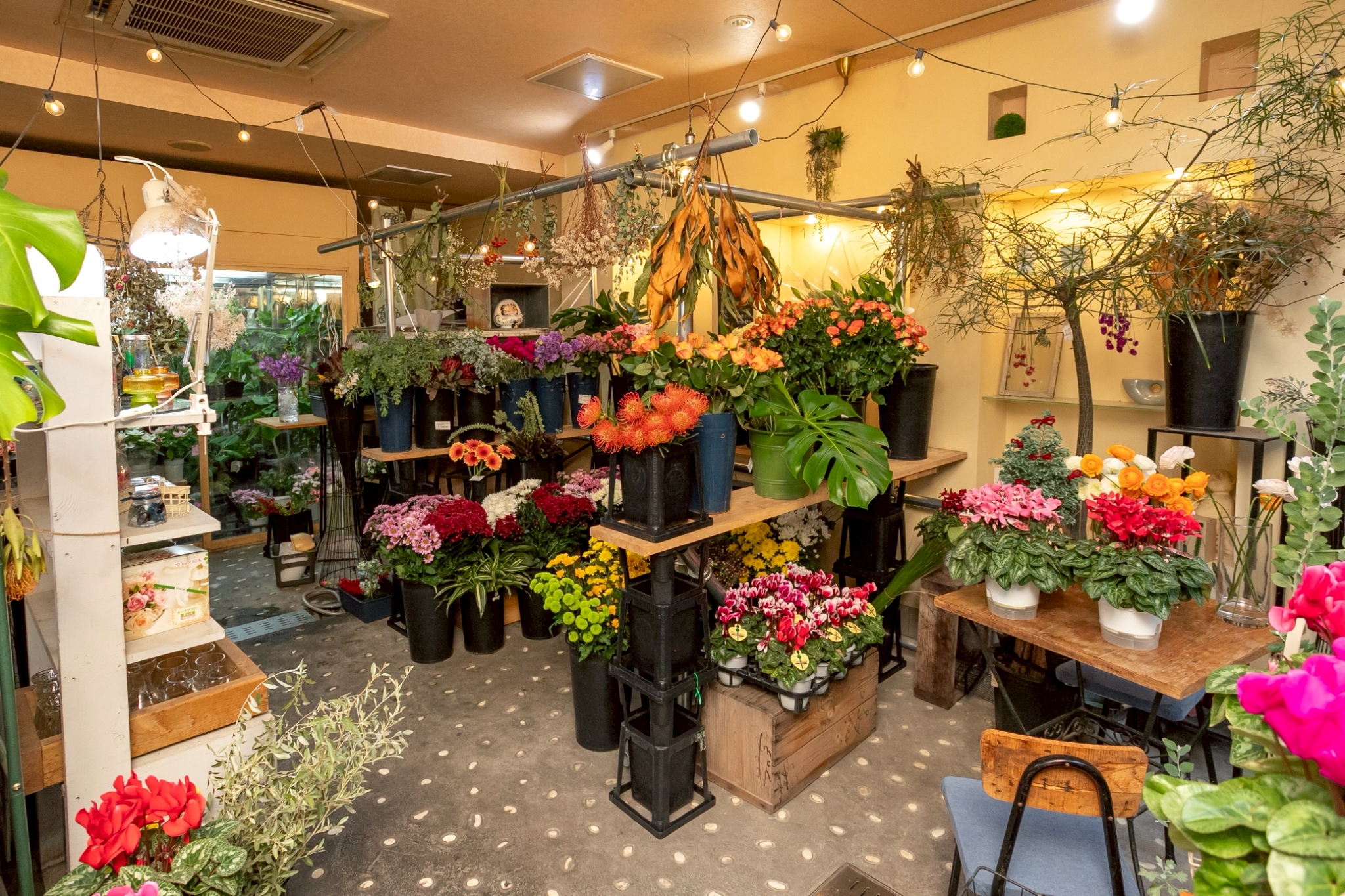 LINE_ALBUM_2512-[cherie]_251212_5