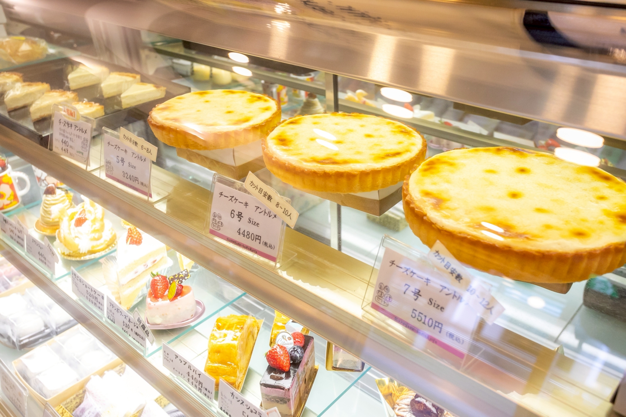 LINE_ALBUM_2512-やわり_251212_1