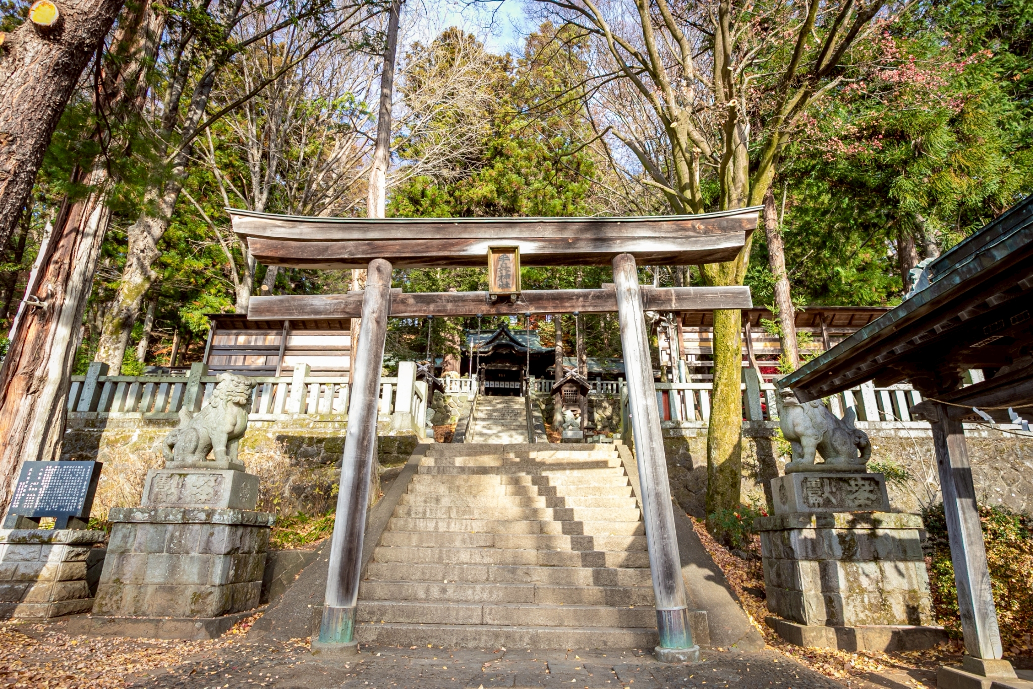 LINE_ALBUM_2512-手長神社_251212_2-2