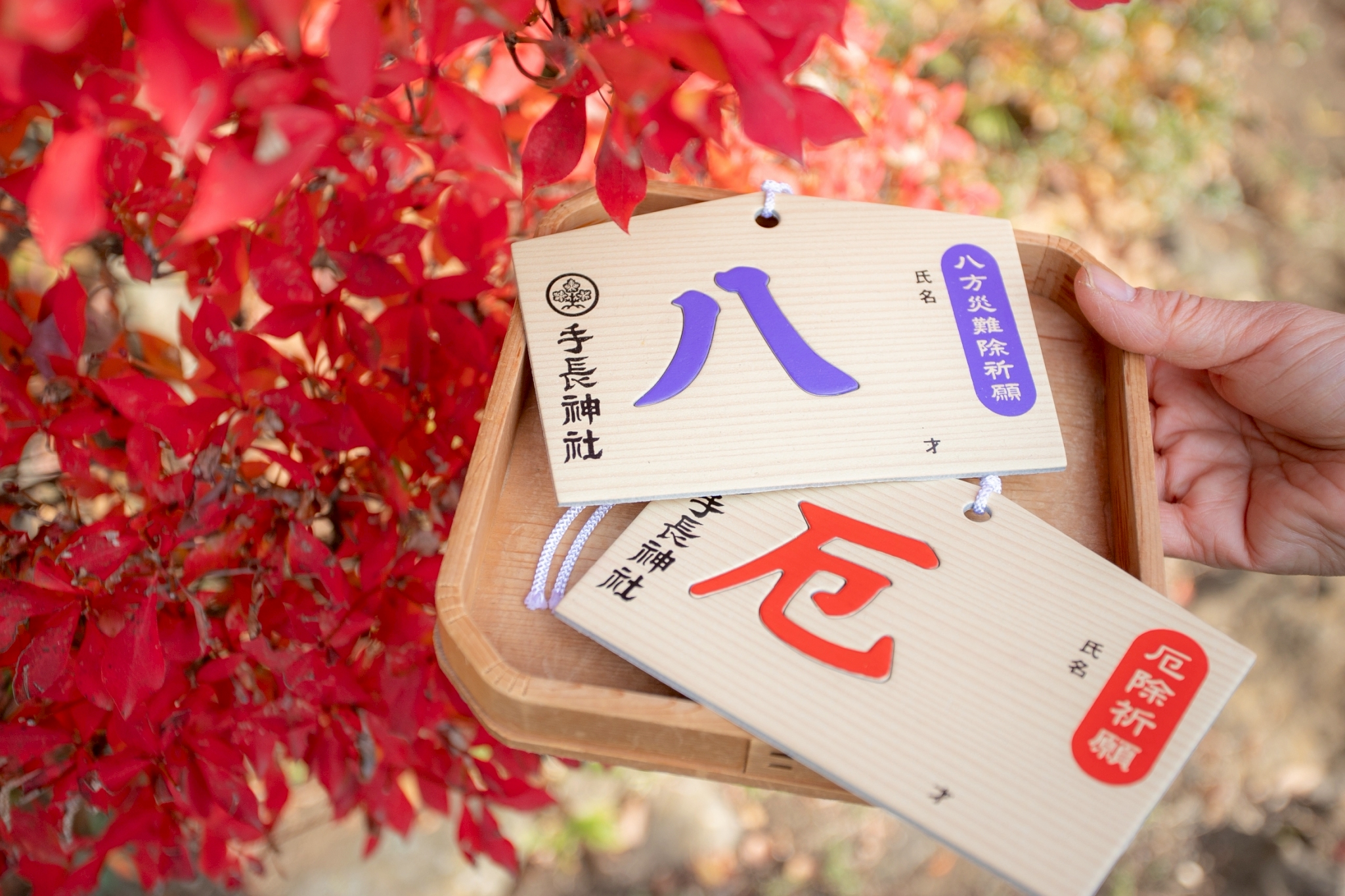 LINE_ALBUM_2512-花おくら_251212_1